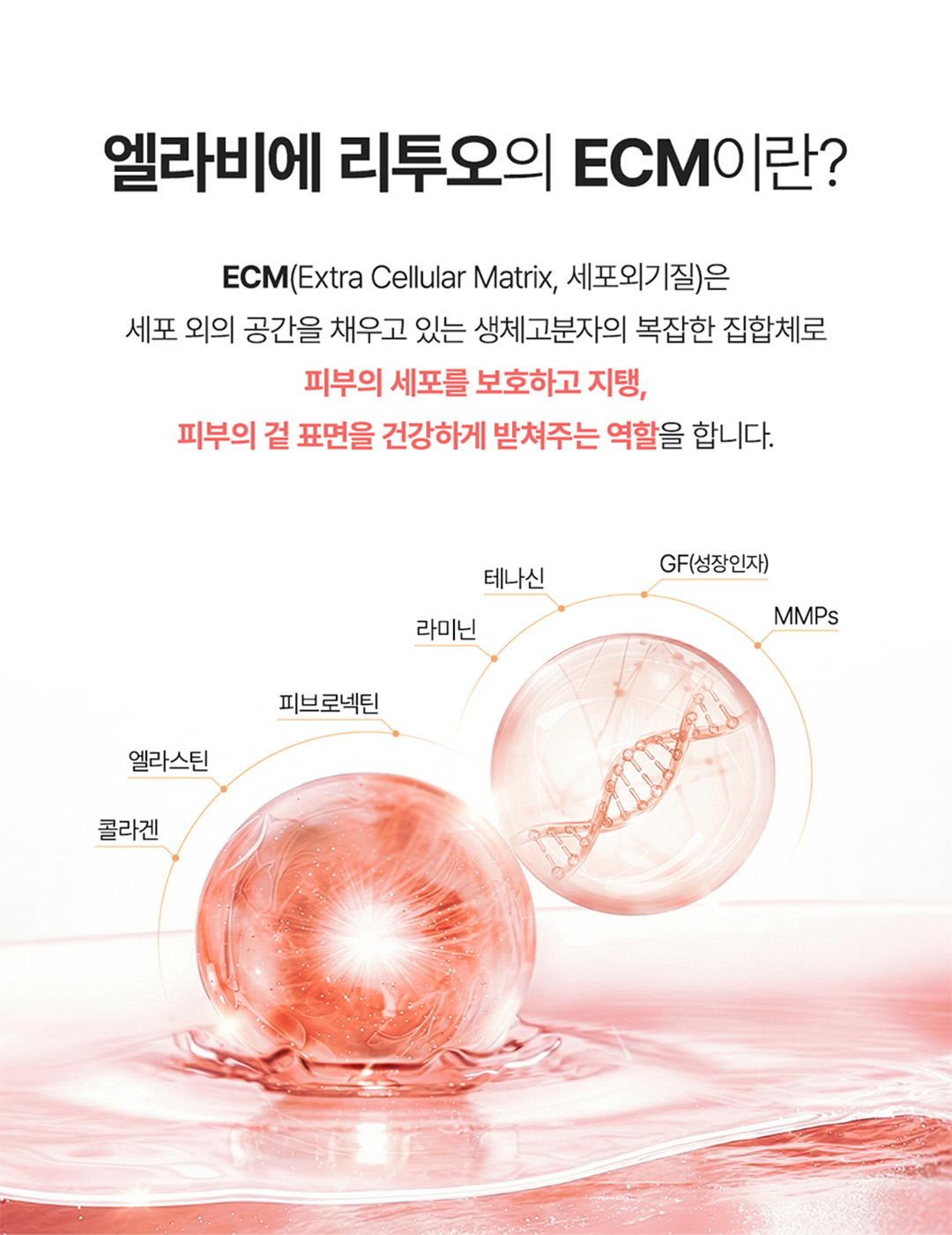 리투오 3