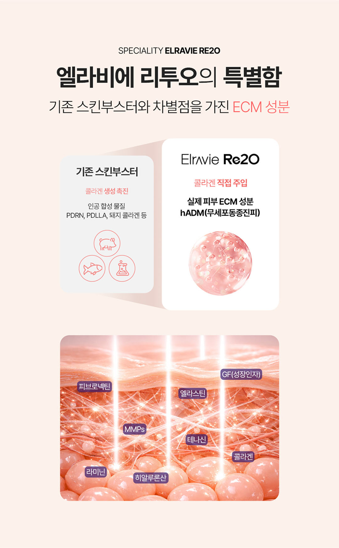 리투오 7