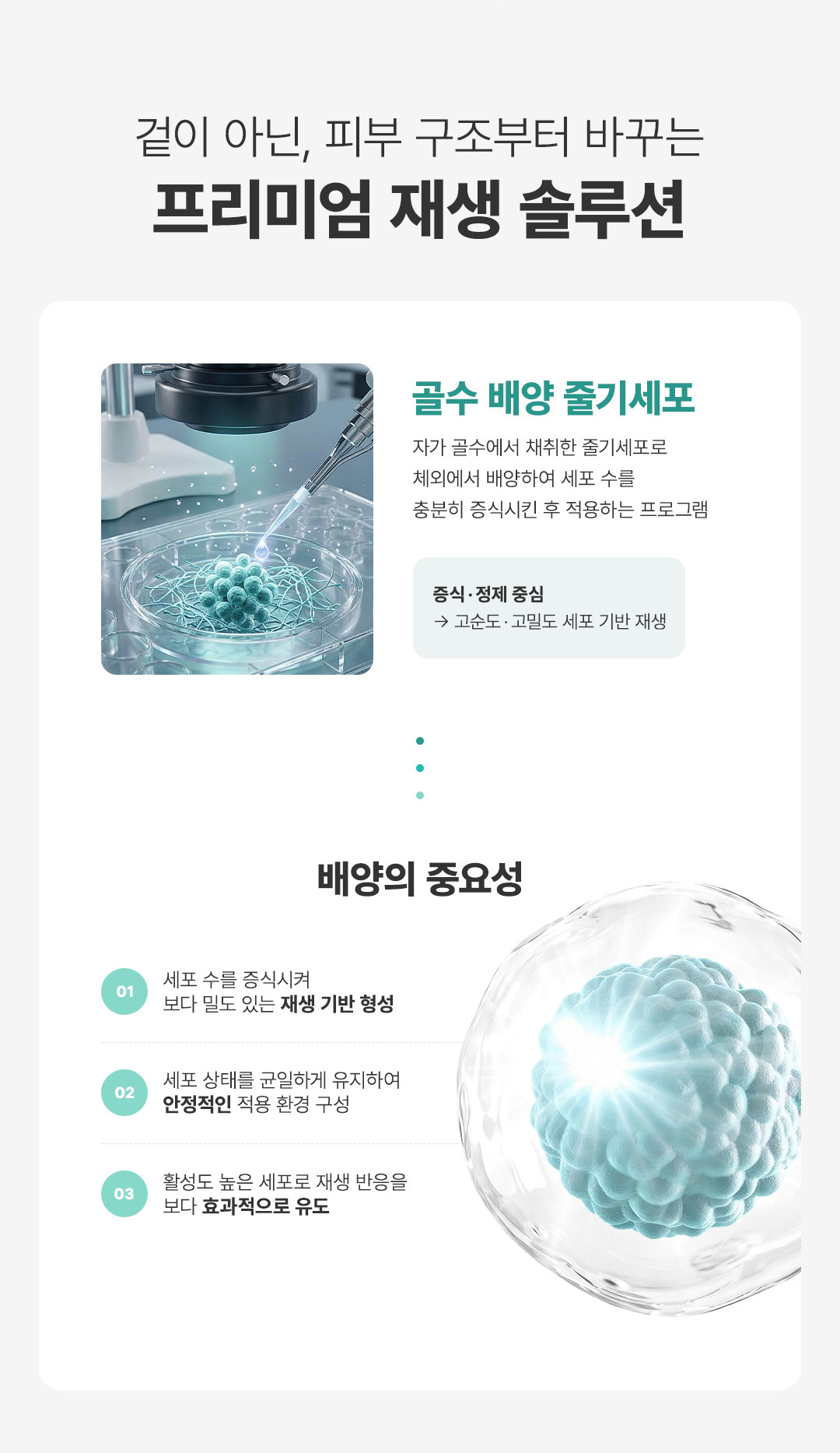 압구정 비앤미의원 줄기세포 주사 줄기세포 주사가격 줄기세포 시술 줄기세포 치료 강남 줄기세포 압구정 줄기세포