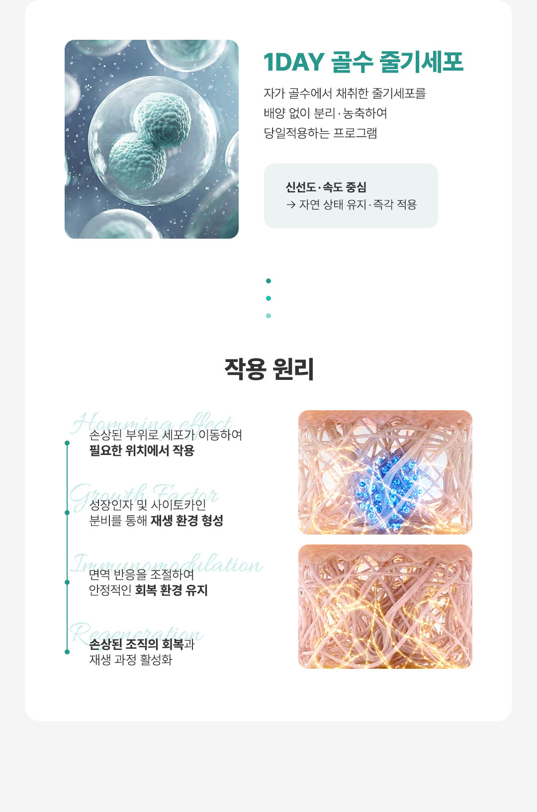 압구정 비앤미의원 줄기세포 주사 줄기세포 주사가격 줄기세포 시술 줄기세포 치료 강남 줄기세포 압구정 줄기세포