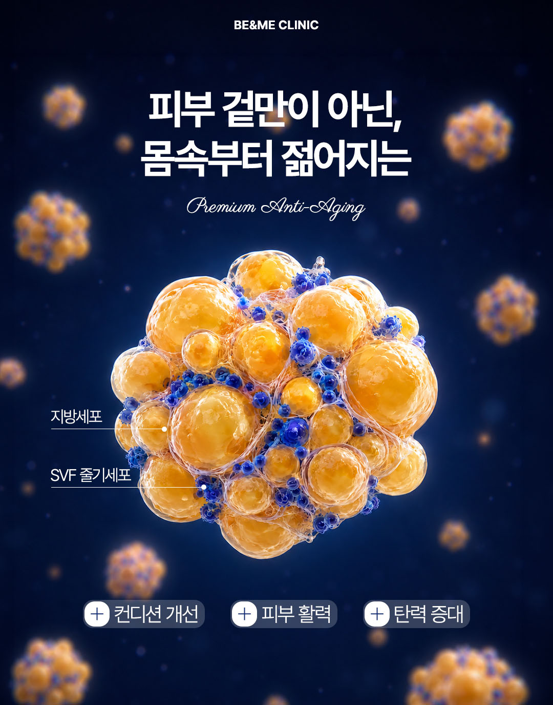 압구정 비앤미 줄기세포, 압구정 SVF 줄기세포, 압구정 피부 줄기세포, 비앤미 줄기세포, 비앤미 SVF 줄기세포, 비앤미 피부 줄기세포, SVF 줄기세포, SVF 줄기세포 시술, 피부 줄기세포, 줄기세포 시술, 줄기세포 피부재생, 줄기세포 피부탄력, 줄기세포 피부결 개선, 줄기세포 안티에이징, SVF 안티에이징, 프리미엄 줄기세포, 프리미엄 줄기세포 시술, 프리미엄 안티에이징, 피부재생 시술, 피부탄력 시술, 피부노화 관리