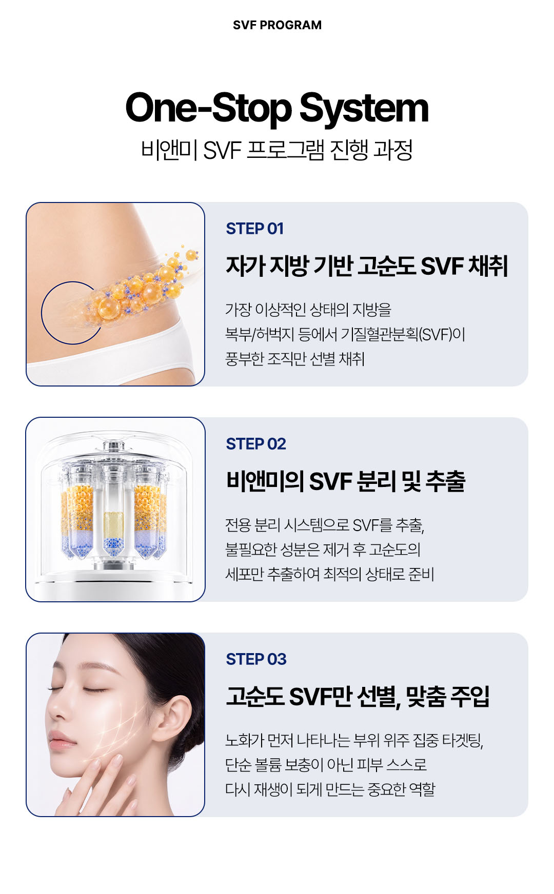 압구정 비앤미 줄기세포, 압구정 SVF 줄기세포, 압구정 피부 줄기세포, 비앤미 줄기세포, 비앤미 SVF 줄기세포, 비앤미 피부 줄기세포, SVF 줄기세포, SVF 줄기세포 시술, 피부 줄기세포, 줄기세포 시술, 줄기세포 피부재생, 줄기세포 피부탄력, 줄기세포 피부결 개선, 줄기세포 안티에이징, SVF 안티에이징, 프리미엄 줄기세포, 프리미엄 줄기세포 시술, 프리미엄 안티에이징, 피부재생 시술, 피부탄력 시술, 피부노화 관리