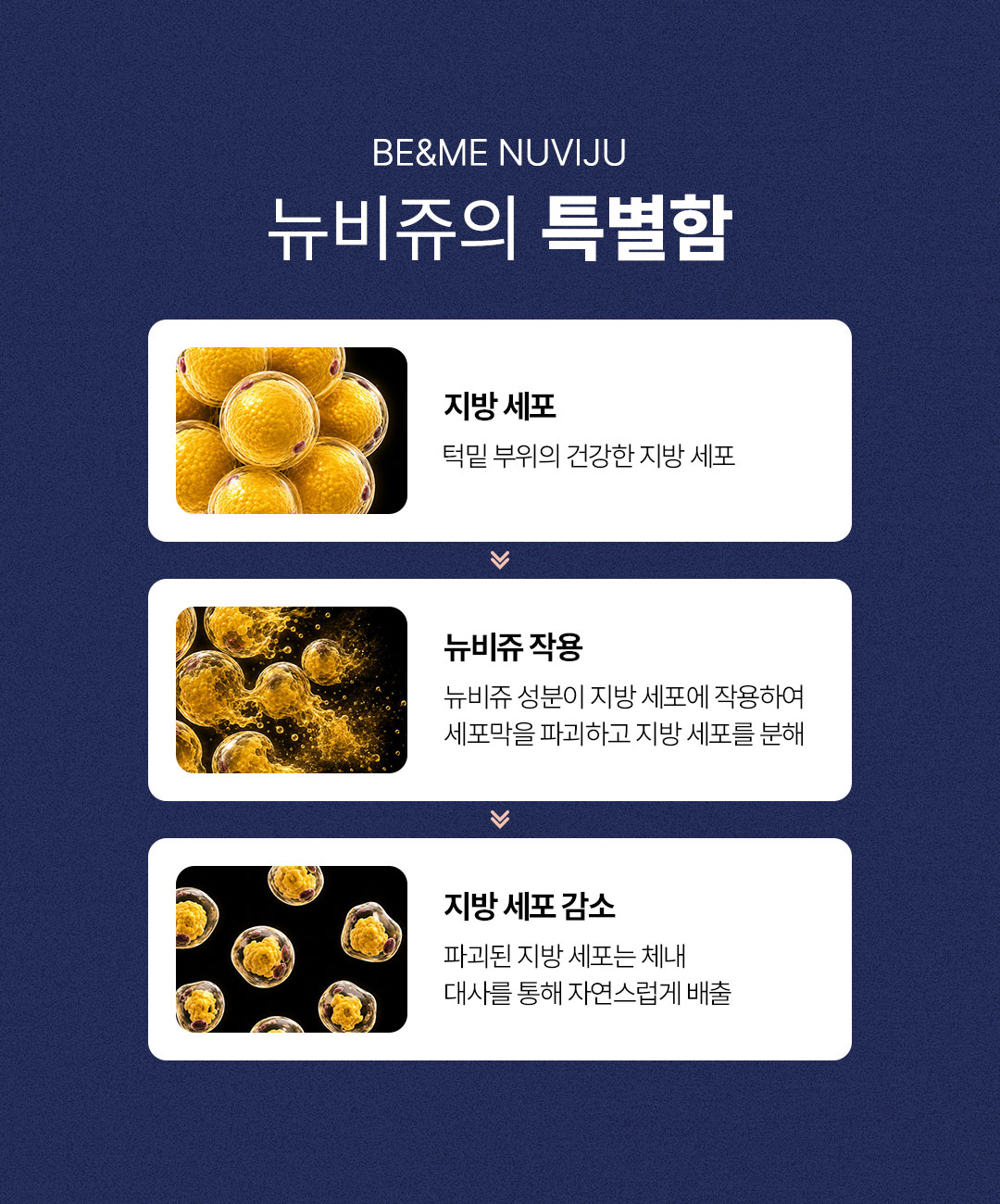 압구정 비앤미 뉴비쥬 지방분해주사의 특별함과 시술 포인트