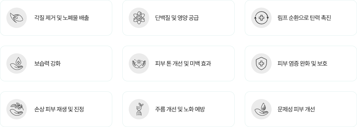 시바산 효과