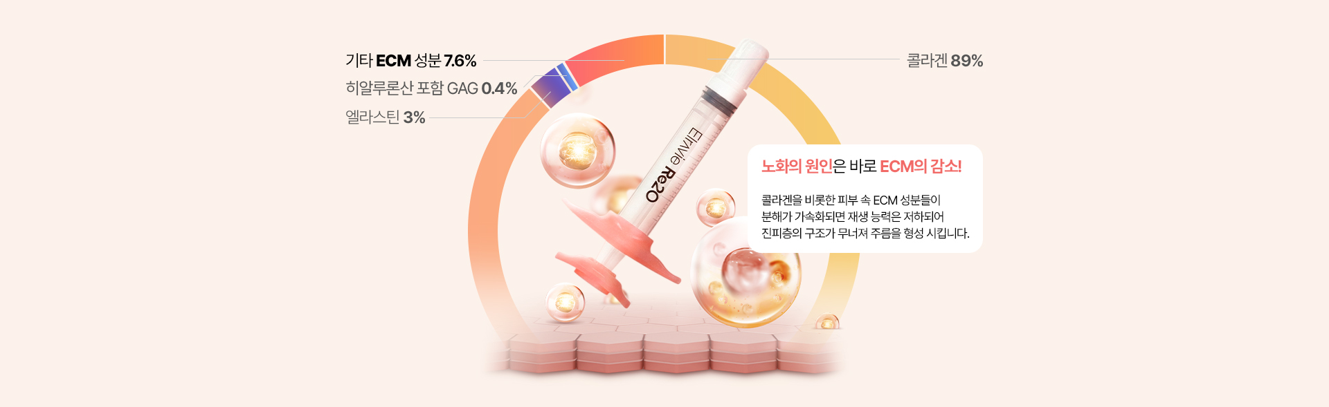 노화의 원인은 바로 ECM의 감소