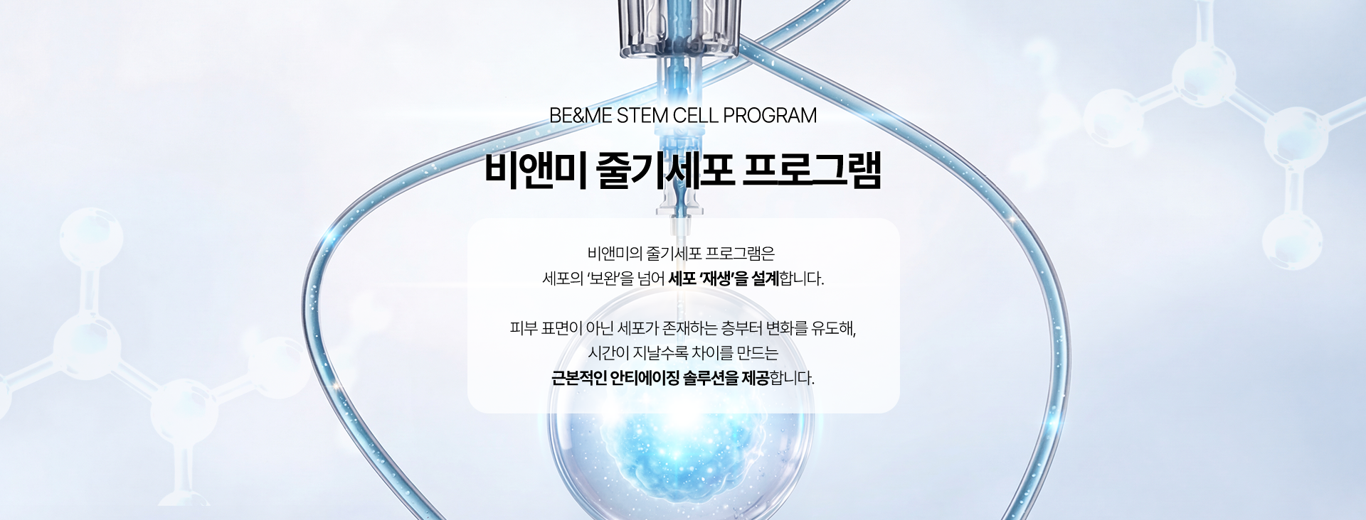 BE&ME STEM CELL PROGRAM 비앤미 줄기세포 프로그램