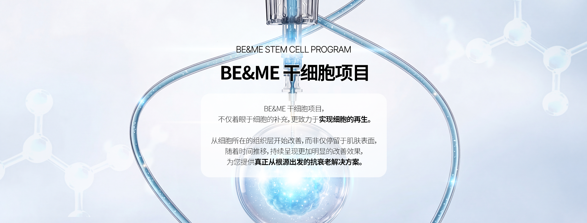 BE&ME STEM CELL PROGRAM 비앤미 줄기세포 프로그램